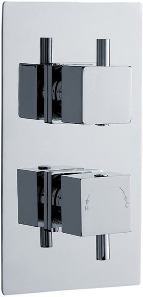 Larger image of Crown Showers Twin Thermostatic Shower Valve With ABS Trim Set.