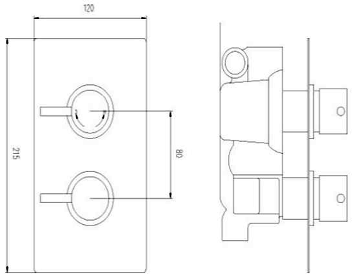 Technical image of Nuie Showers Pioneer Thermostatic Shower Valve With Brass Trim (1 Outlet).